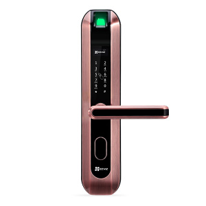 DL2 Household password fingerprint lock - standard lock